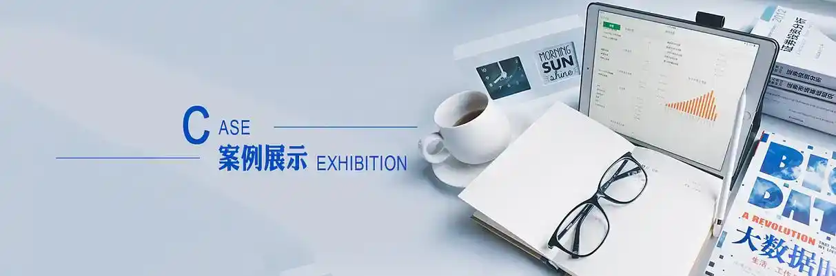 米林县软件开发